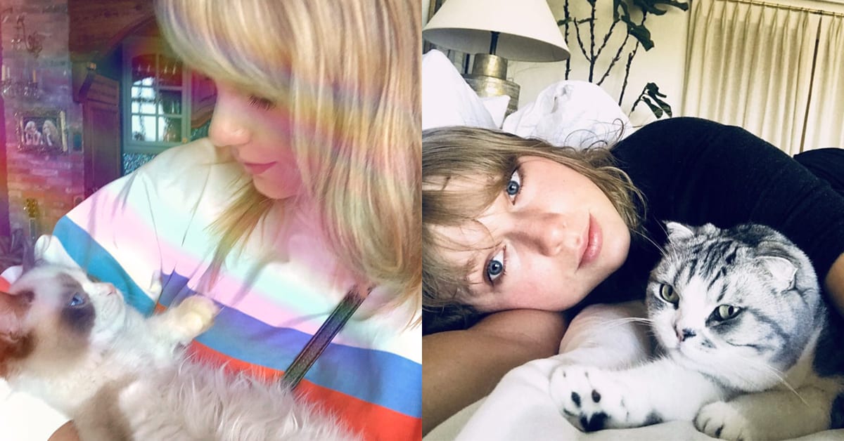 We Can’t Quite Get Enough of Taylor Swift’s Cats